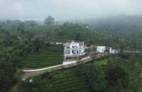 Casa Oliv, Vagamon
